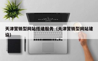 长岭天津营销型网站搭建服务（天津营销型网站建设）